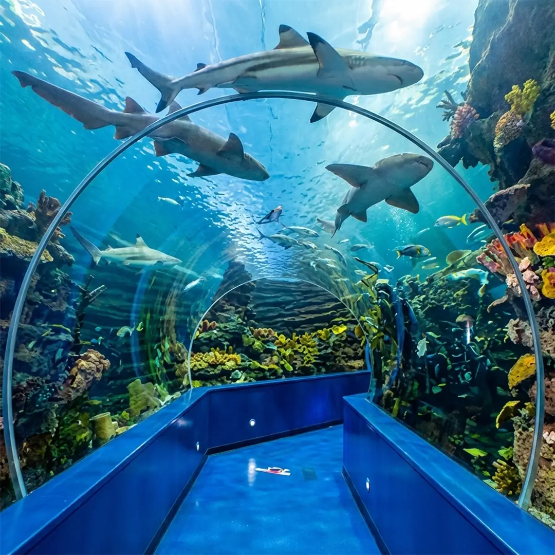 Sharjah Aquarium showcasing marine life and underwater exhibits