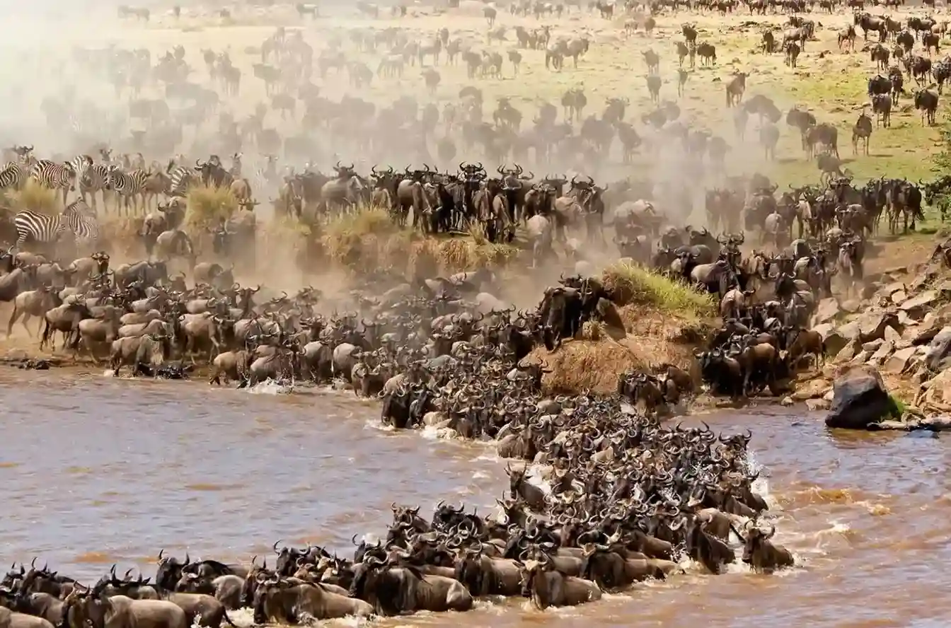 Safari jeep during game drive in Kenya national park with tourists exploring wildlife