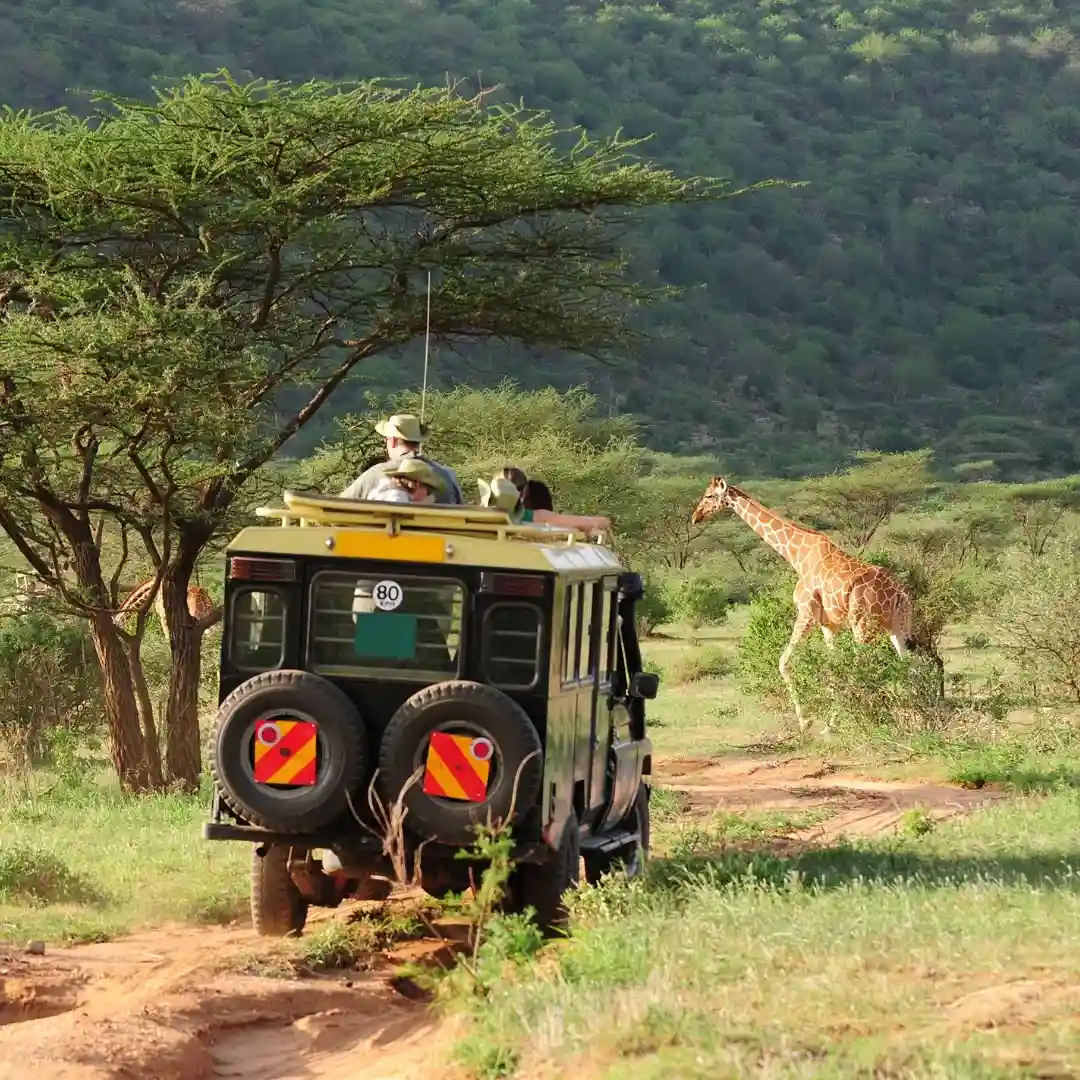 Hot air balloon safari over Maasai Mara at sunrise, offering panoramic views of wildlife and the rolling savannah