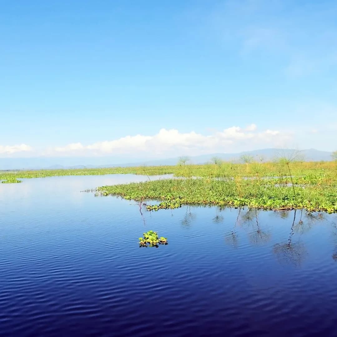 Luxury safari lodge in Kenya overlooking wildlife-rich plains, providing an immersive premium safari stay experience