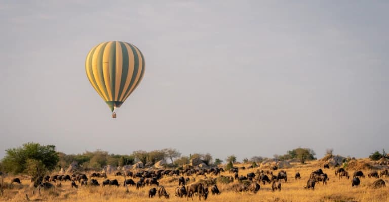 Hot air balloon safari over Maasai Mara at sunrise with panoramic views of wildlife and savannah