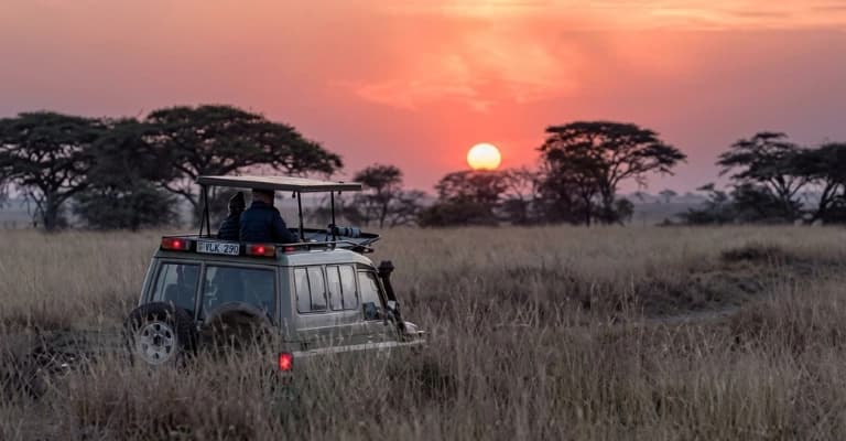 Golden sunrise over Kenya savannah with wildlife silhouettes during early morning safari drive