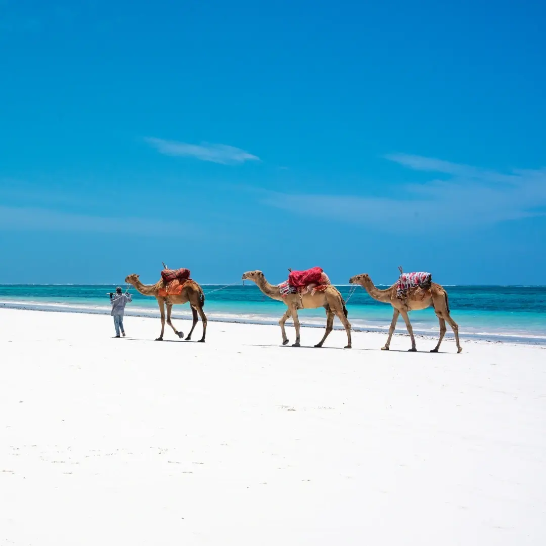 Mombasa Kenya with Fort Jesus, Old Town architecture, and Indian Ocean coastline