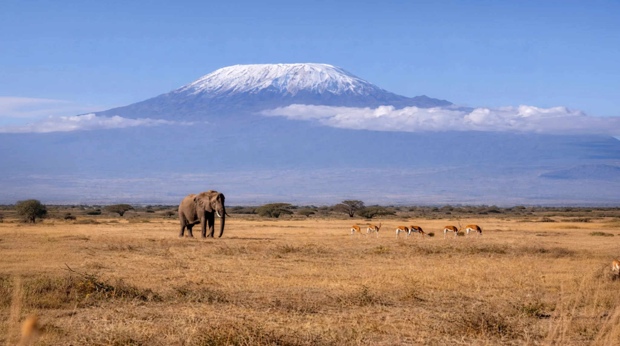 Amboseli safari with elephants and Mount Kilimanjaro views combined with Tsavo East wildlife and red earth landscapes in Kenya