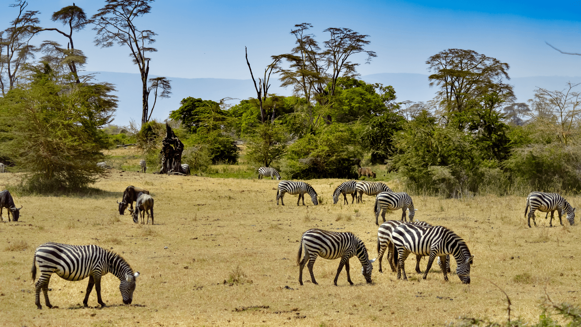 Mount Kenya scenic landscape