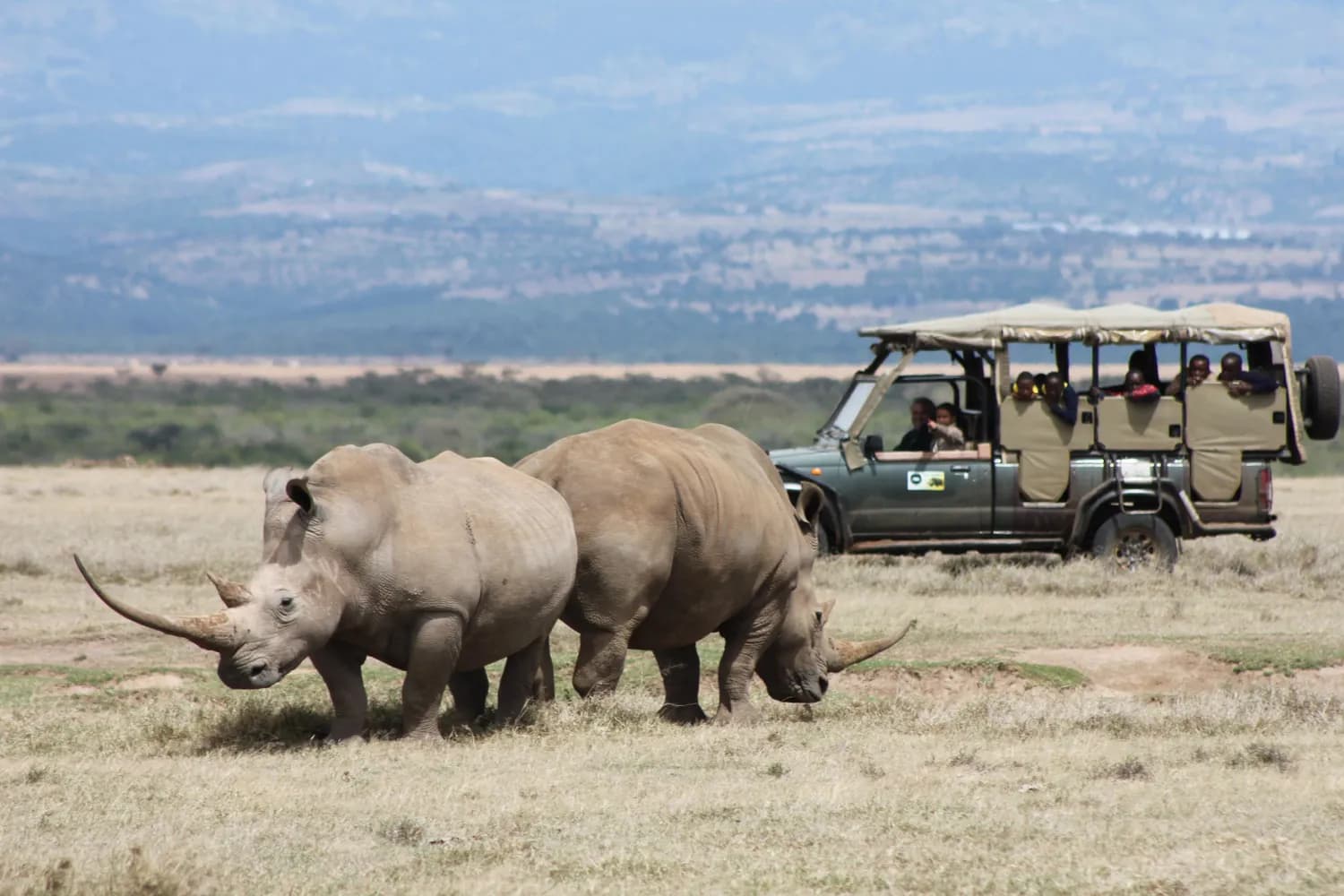Kenya safari landscape with wildlife and scenic nature representing leisure travel experiences in Kenya