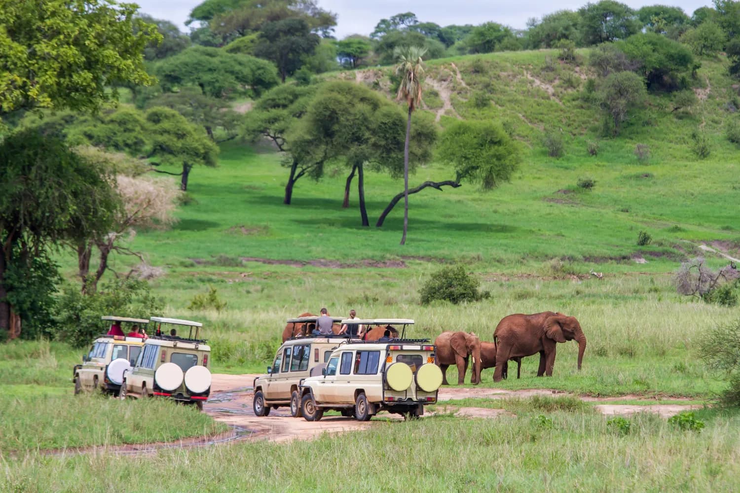 Kenya safari landscape with wildlife, savannah plains, and scenic travel experiences