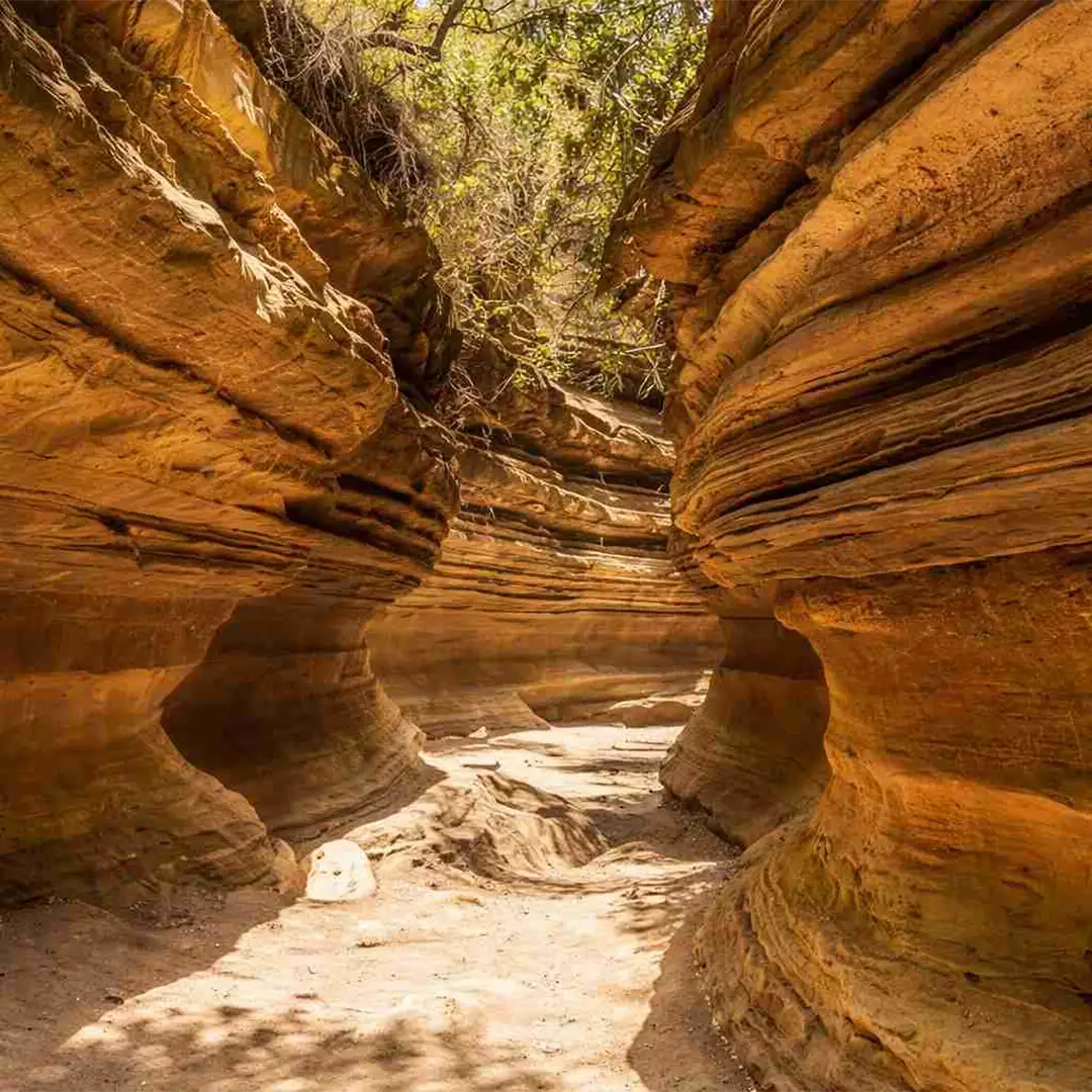 Cyclists and wildlife in Hell’s Gate National Park with dramatic cliffs and rock formations
