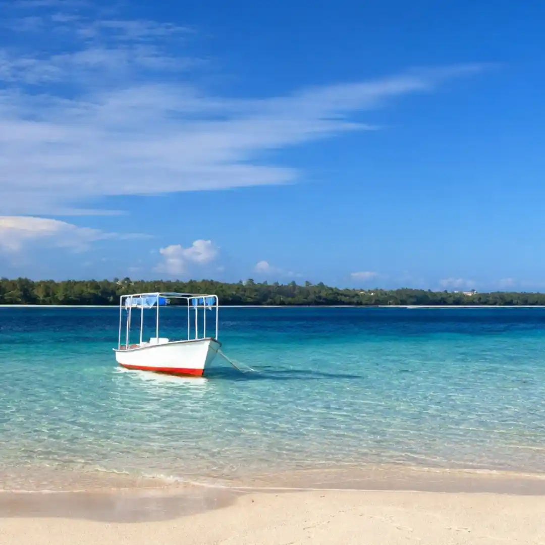 Coral reefs and tropical fish underwater in Mombasa Marine National Park