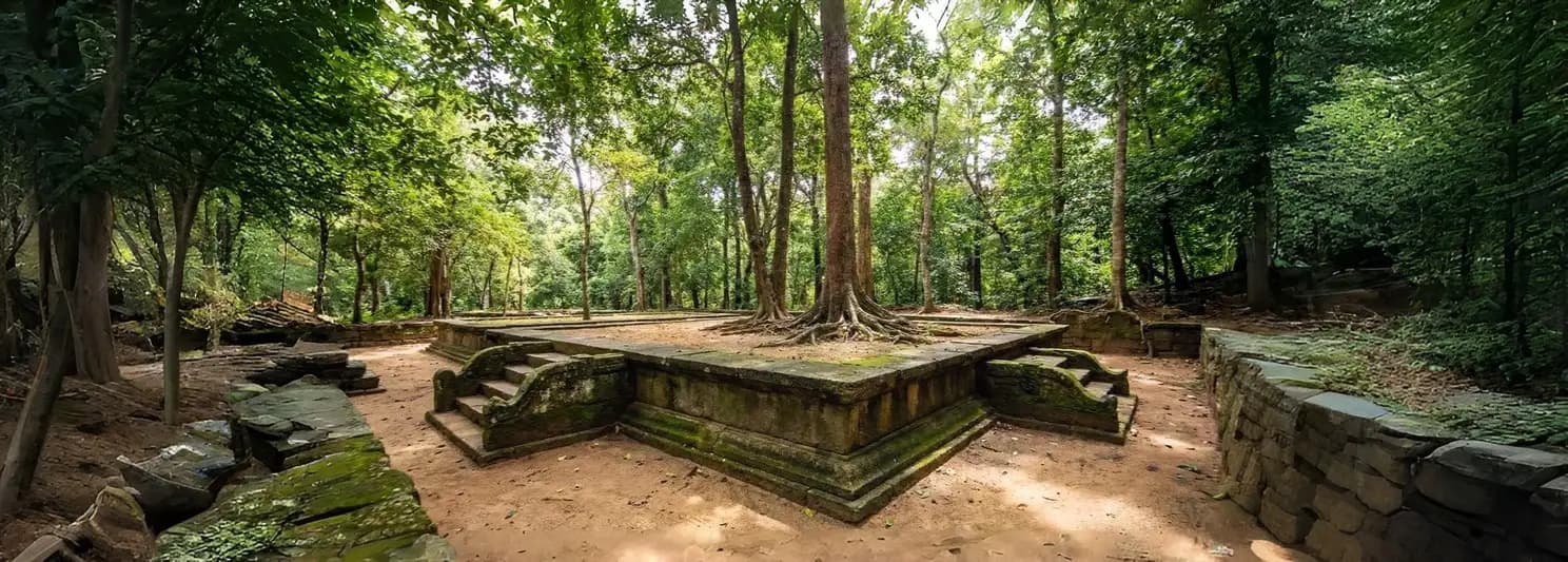 Dense forests of Aberdare National Park with wildlife in natural habitat Kenya