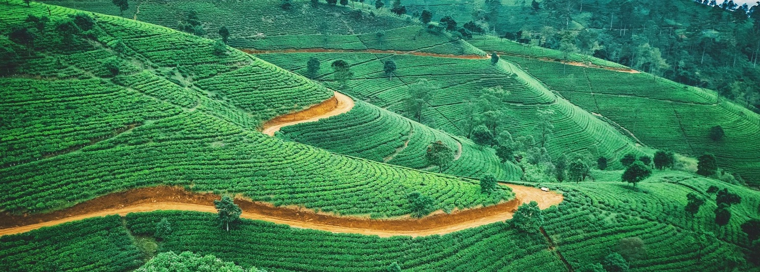 Sri Lanka landscapes featuring hills, beaches, and cultural landmarks