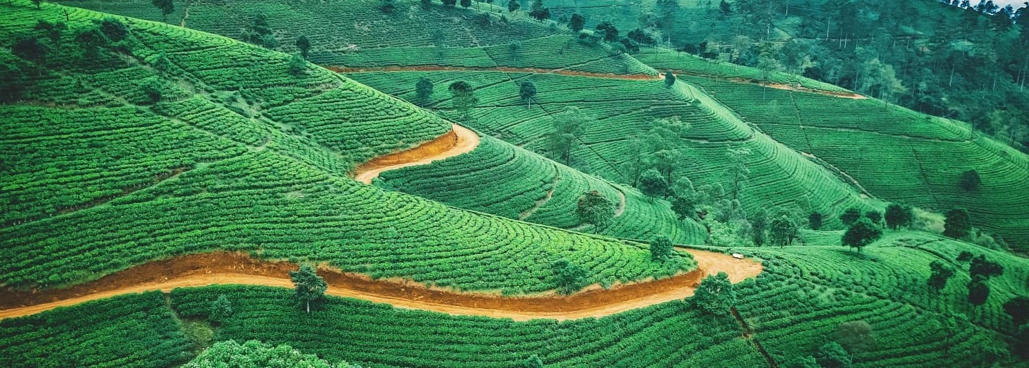 Sri Lanka landscapes featuring hills, beaches, and cultural landmarks