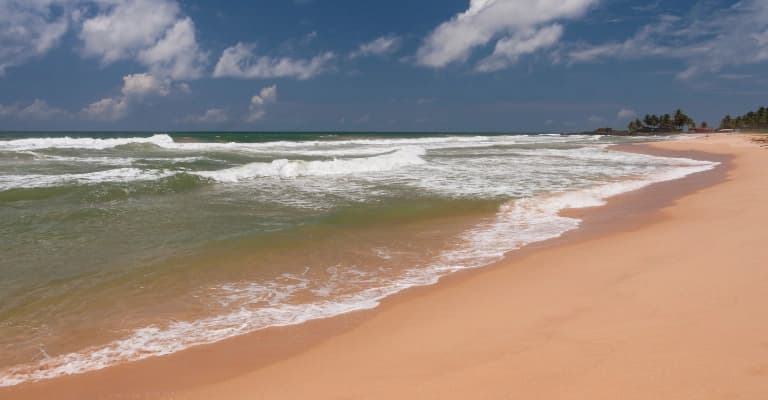 Bentota beach with golden sand, palm trees, and turquoise sea in Sri Lanka