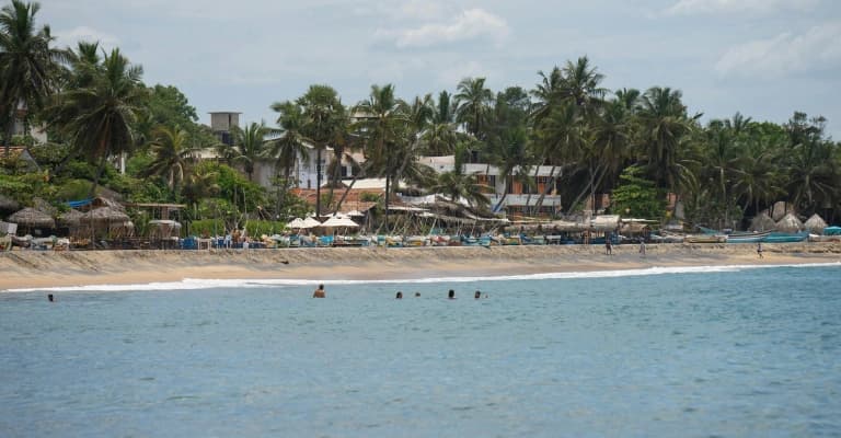Train journey through tea plantations and misty hills in Ella, Sri Lanka