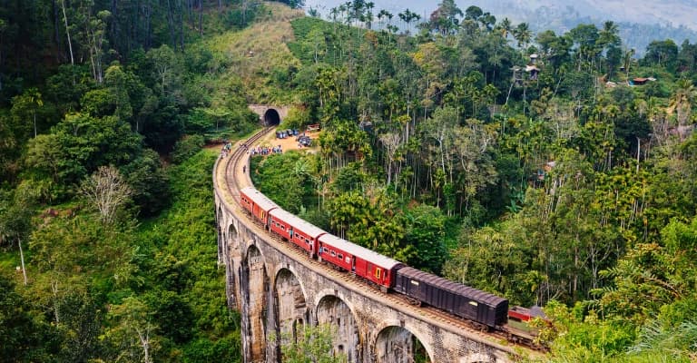 Luxury beachside resort in Sri Lanka with palm trees and ocean views