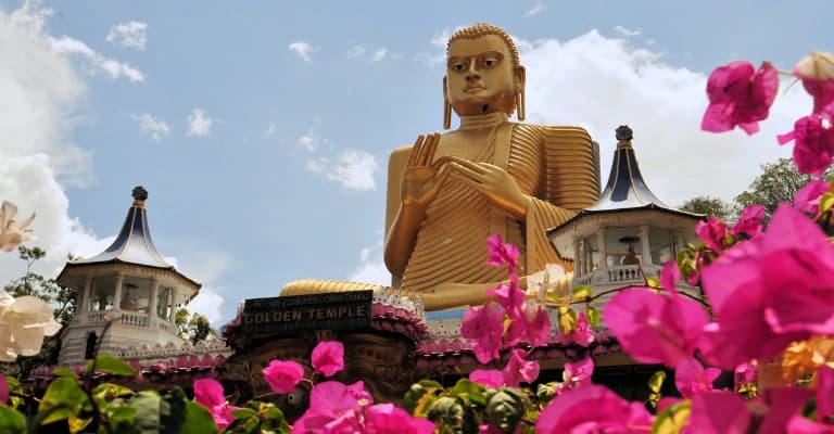 Sri Lanka tourism highlights showcasing beaches, culture, and nature for travel packages