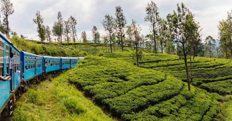 Sri Lanka travel experience combining cultural temples, wildlife safari, and beach relaxation