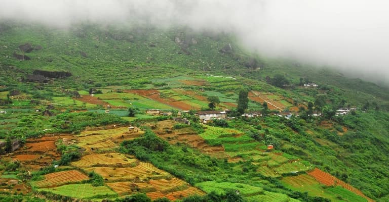 Luxury resort experience in Sri Lanka showcasing premium hospitality and tropical surroundings