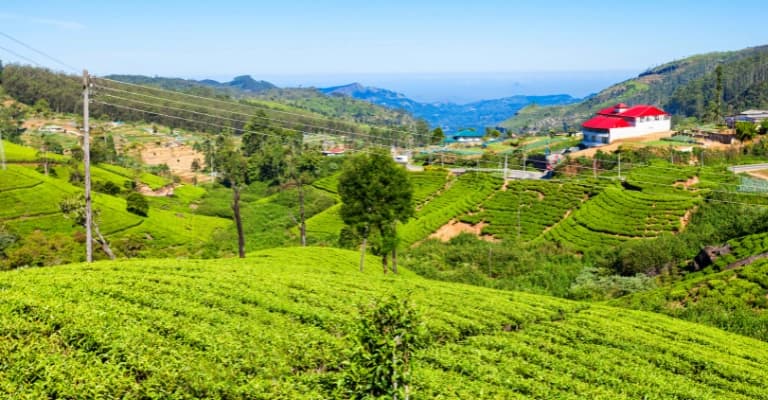 Travellers at Sri Lanka airport demonstrating smooth visa access and convenient entry process