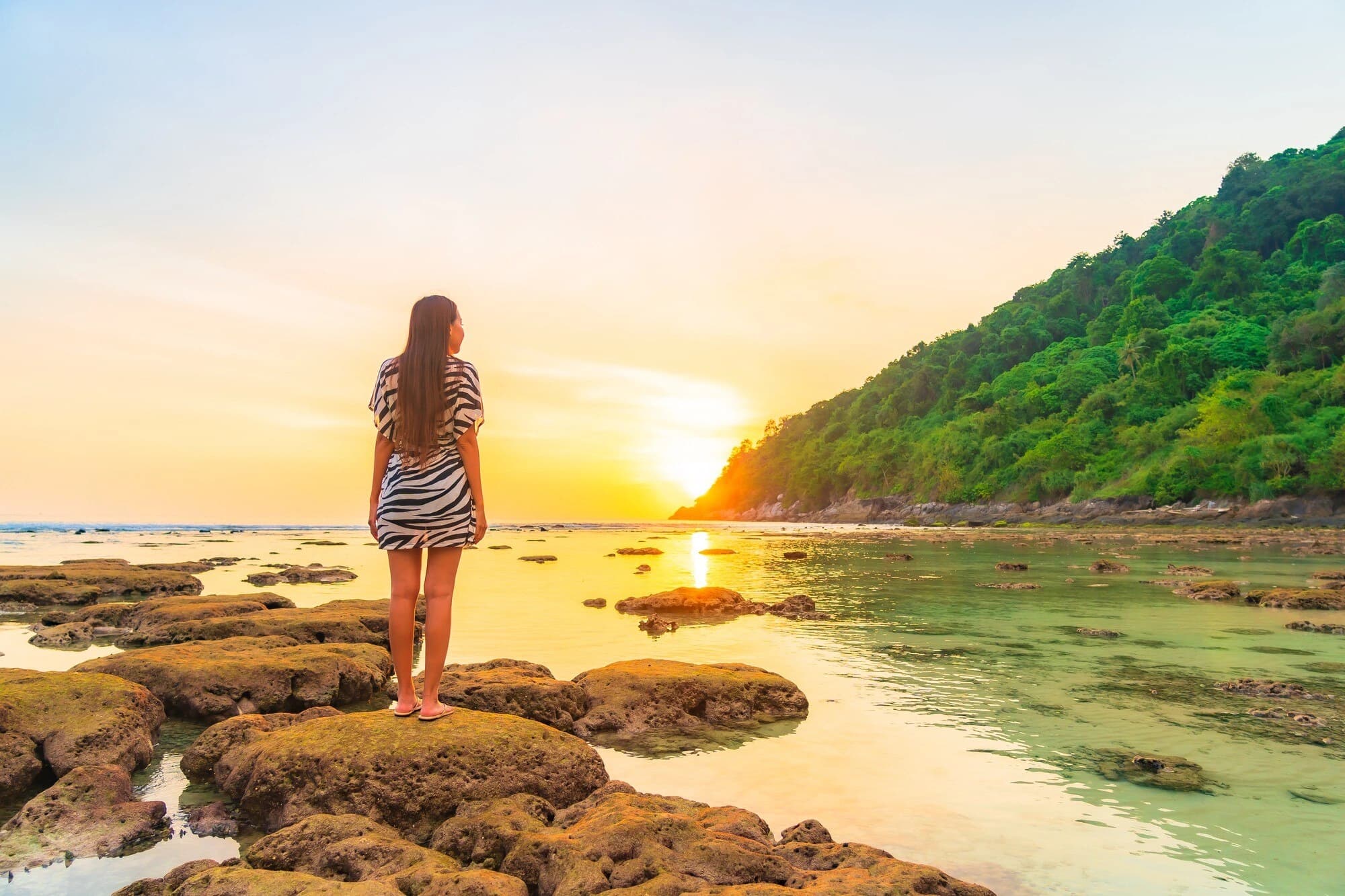 Beautiful Sri Lanka travel experiences including beaches, wildlife safaris, and hill country landscapes