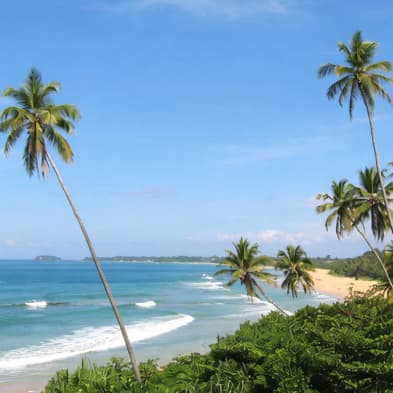 Bentota beach and river safari experiences on Sri Lanka’s southern coast