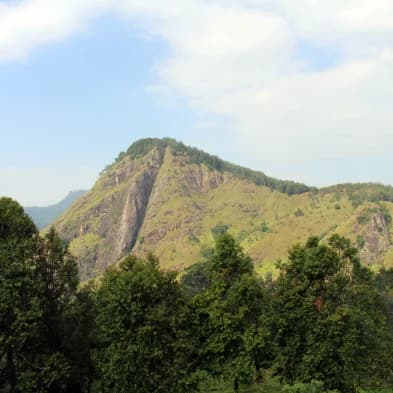 Ella Rock trekking route overlooking valleys and tea plantations