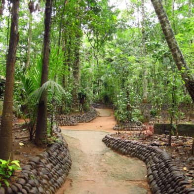 National Spice Garden in Kandy featuring Sri Lankan spices and herbal plants