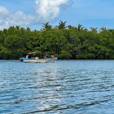 Boat safari on Koggala Lake through mangroves and islands