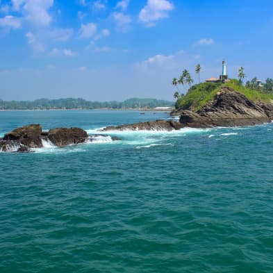 Mirissa beach coastline with whale watching and tropical ocean views