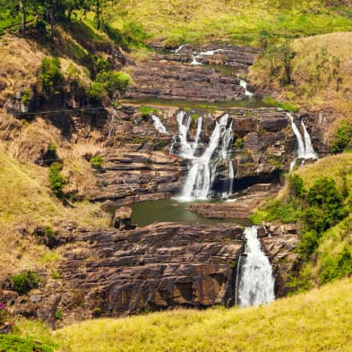 St. Clair’s and Devon Falls surrounded by tea plantations