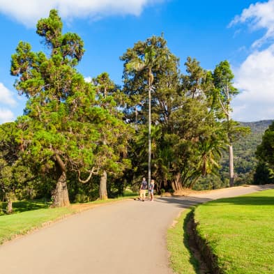 Hakgala Botanical Garden with mountain views and rare plants