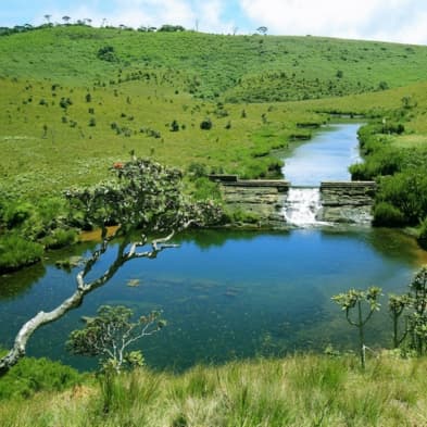 Scenic trekking trails in Horton Plains National Park
