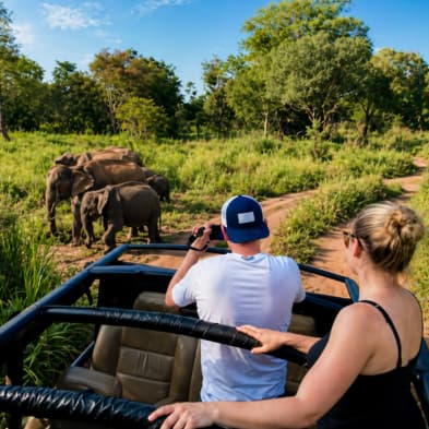 Natural forest and elephant safari at Hurulu Eco Park