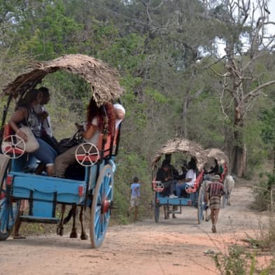 Traditional Sri Lankan village tour experience in Sigiriya