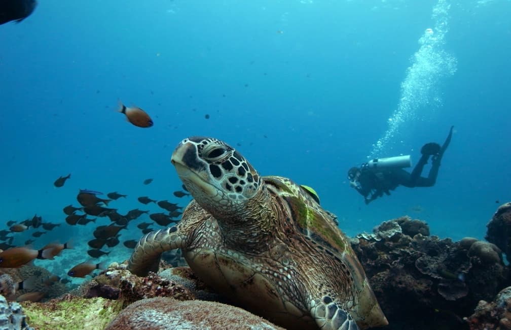 Mirissa beach coastline with ocean views in southern Sri Lanka