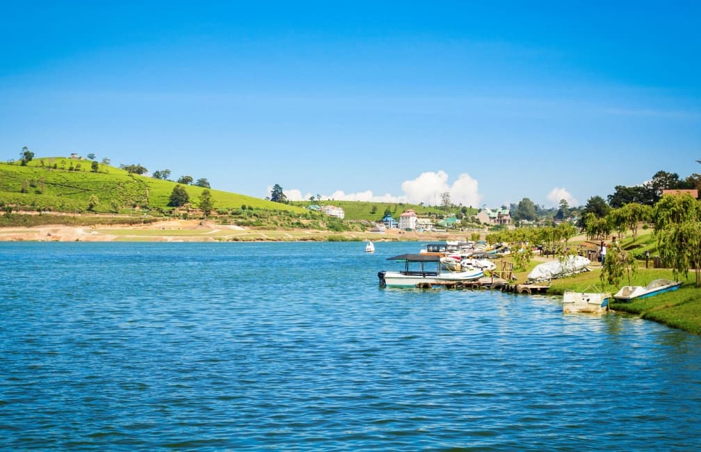 Tea plantations and misty hills in Nuwara Eliya, Sri Lanka