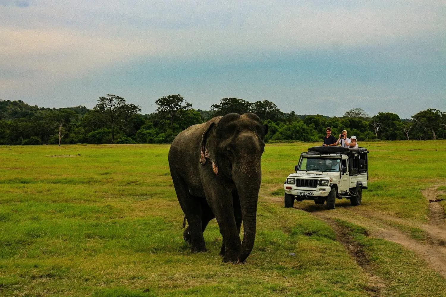 Sri Lanka tours and excursions including heritage sites, wildlife safaris, and scenic island experiences
