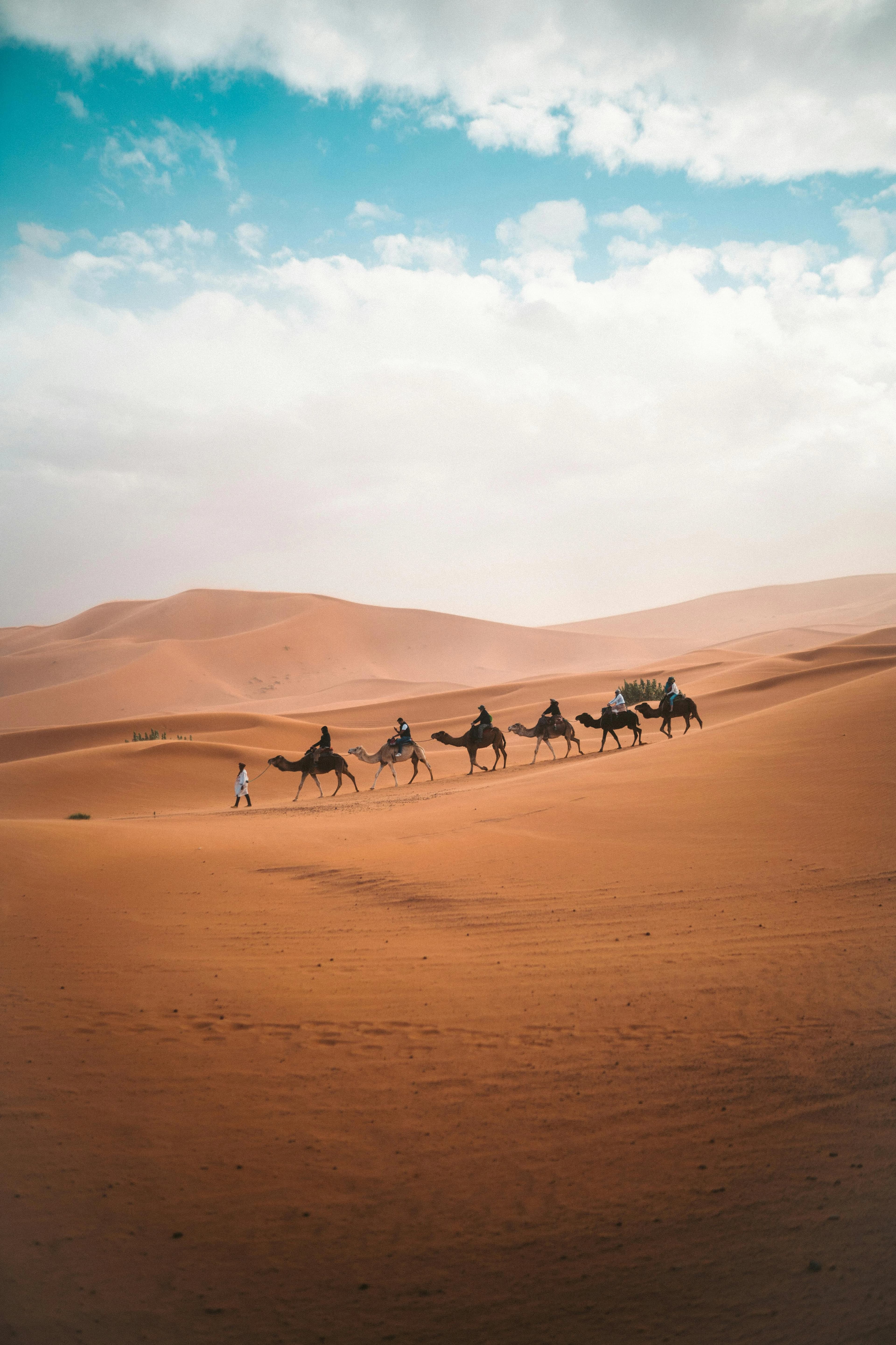 Luxury adventure experiences in Dubai including desert safari, helicopter tours and skyline views