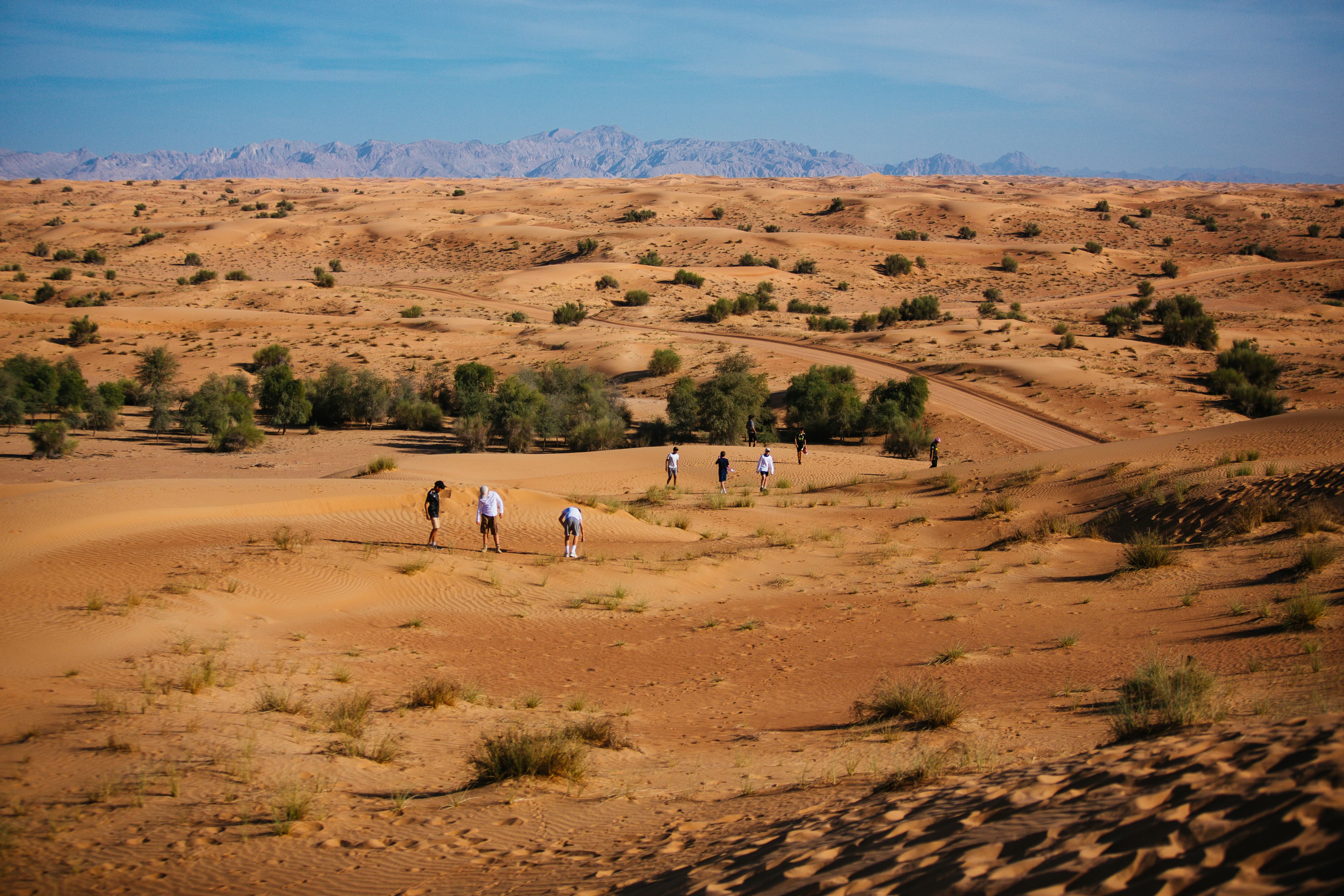 Luxury desert eco camp experience in Dubai desert reserve