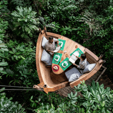 Transparent Jungle Bubbles suite raised on a wooden deck with elephants roaming nearby, Chiang Rai