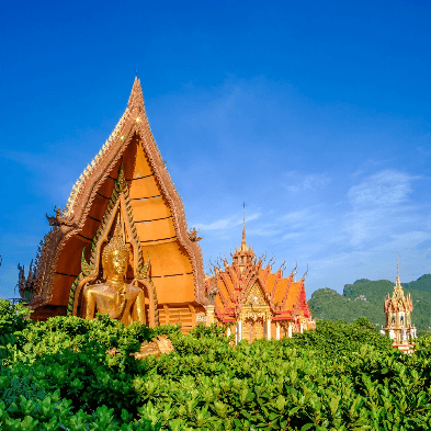 Wat Tham Suea Tiger Cave Temple overlooking Krabi's mountains