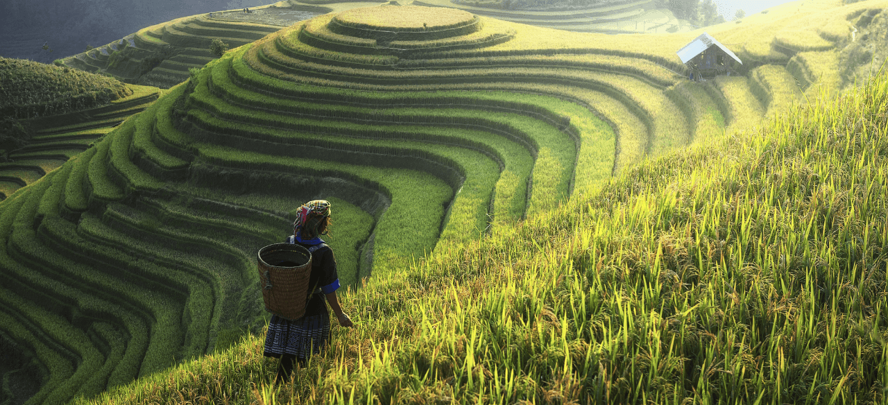 Vietnam travel destinations featuring Halong Bay, Hoi An, tropical islands, mountains, and vibrant city experiences