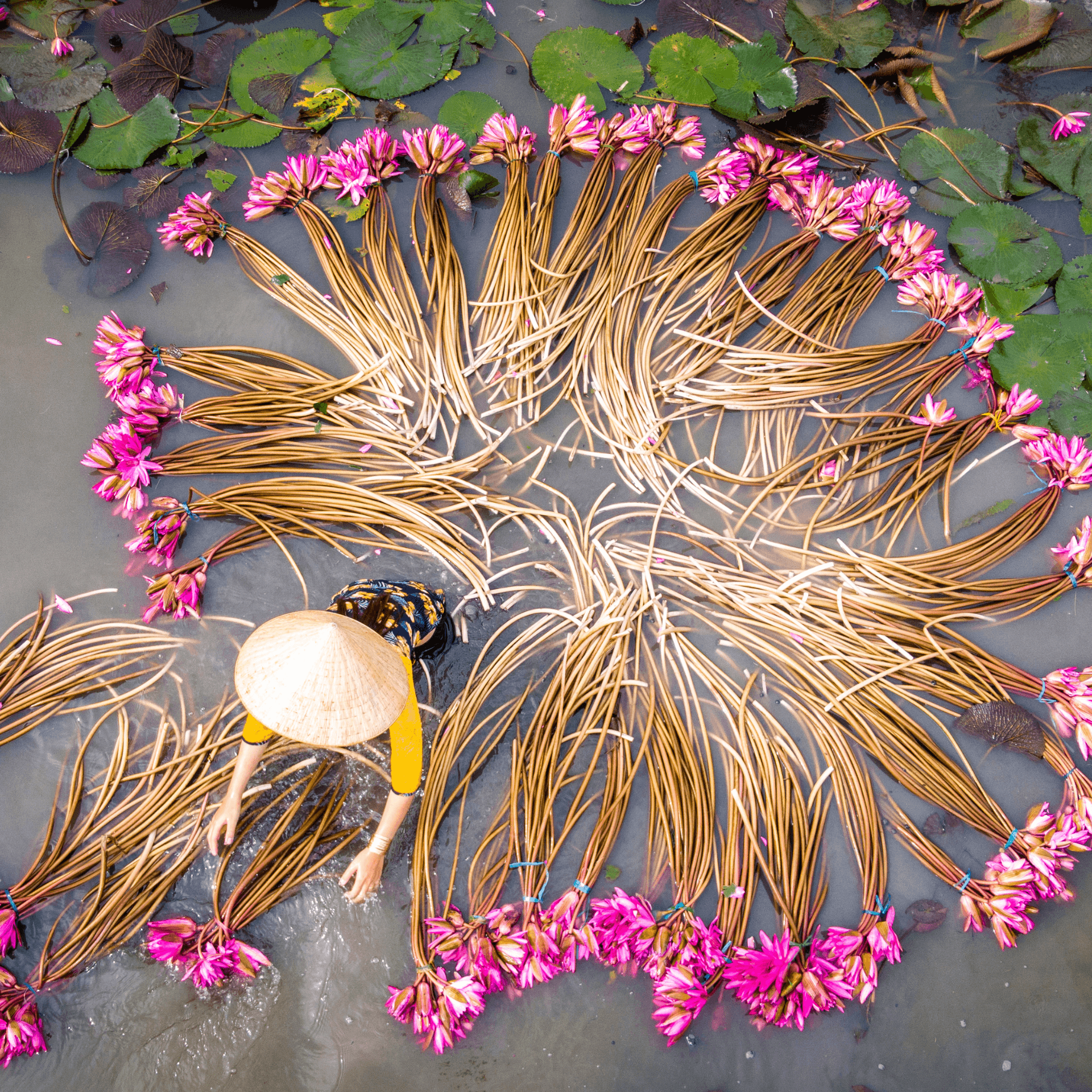 Floating markets and scenic river landscapes in the Mekong Delta, Vietnam
