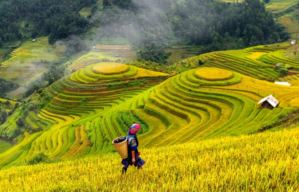 Rice terraces and mountain landscape in Sapa, Vietnam