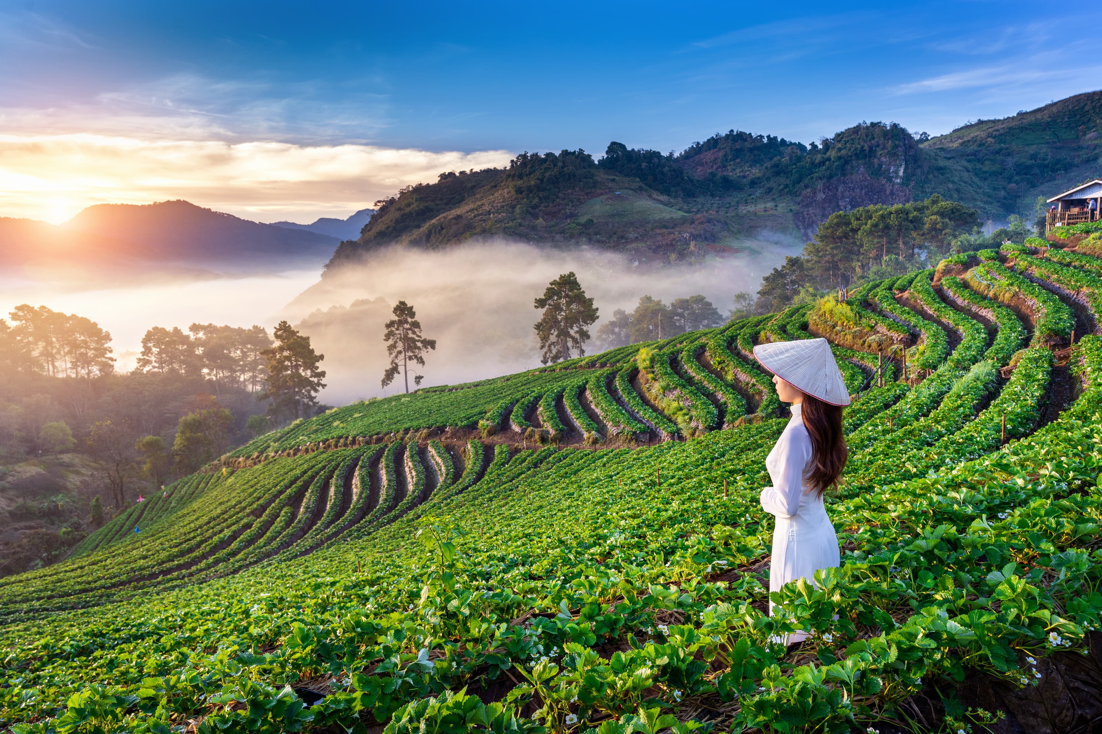 Personalized Vietnam leisure tour featuring cultural sites, scenic landscapes, and curated private travel experiences