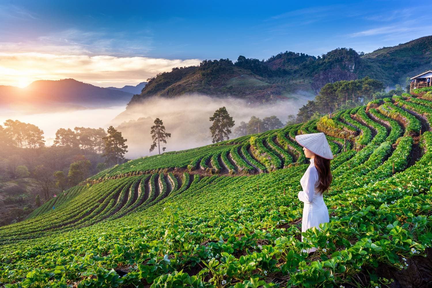 Personalized Vietnam leisure tour featuring cultural sites, scenic landscapes, and curated private travel experiences