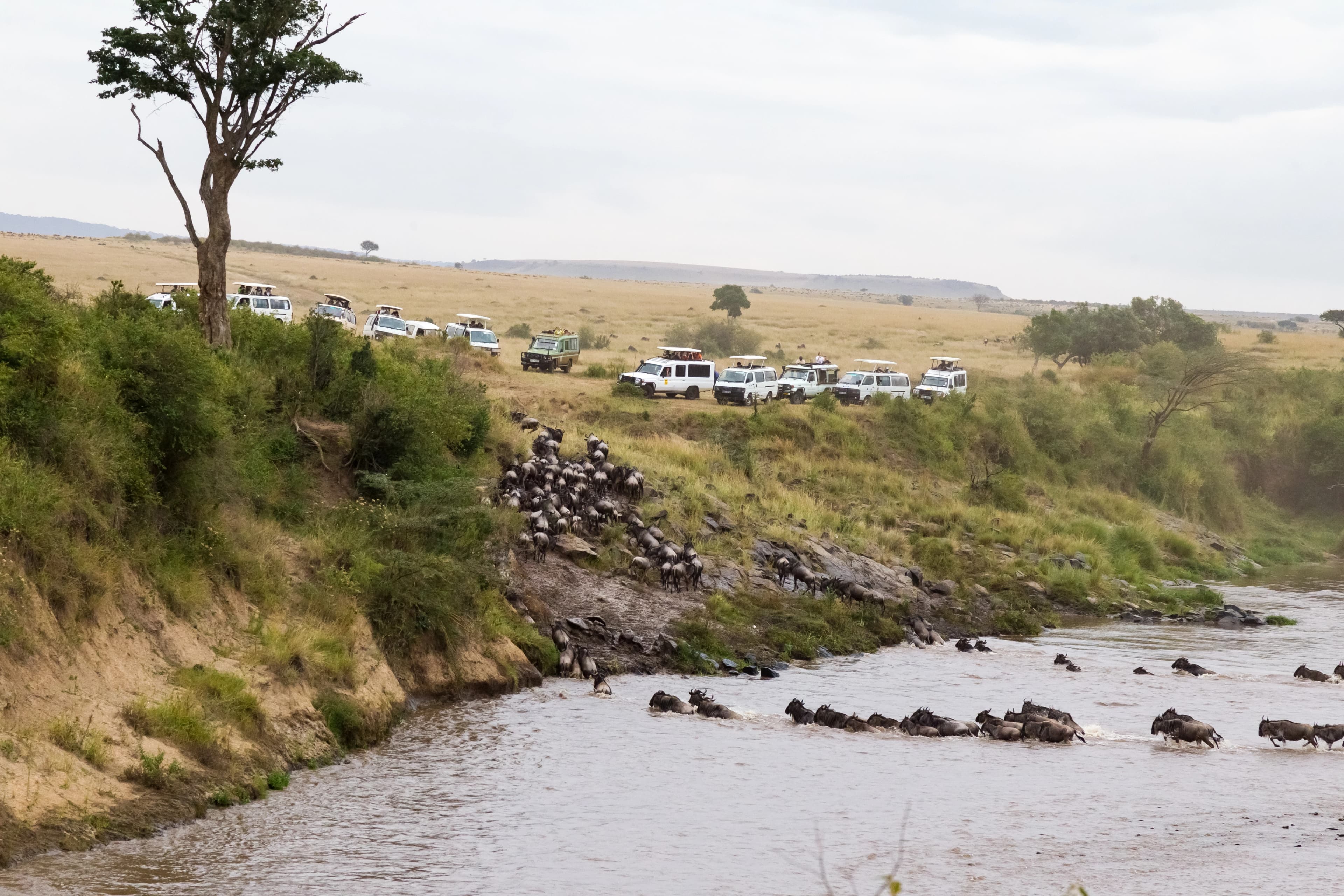 Kenya safari landscape with wildlife, open savannah, and scenic natural views