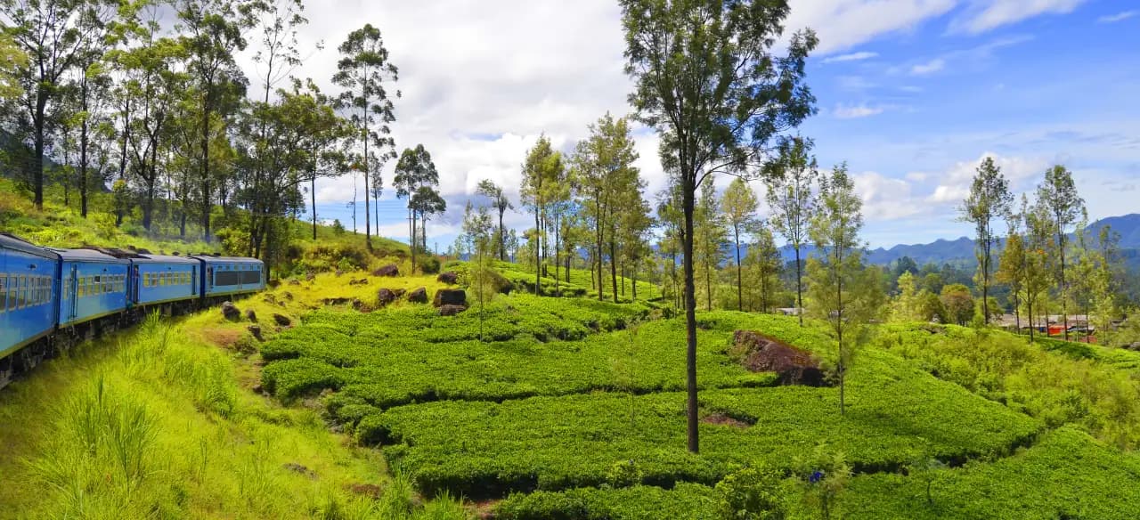 Scenic Sri Lanka landscape featuring lush greenery, coastal beauty, and cultural heritage representing curated travel experiences