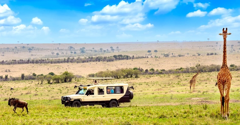 Kenya Safari Tour Package: Nairobi to Masai Mara Itinerary